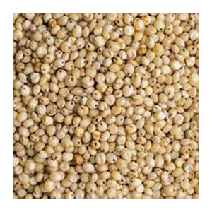Graines de sorgho jaune de qualité Vente en gros Fabricant haut Nouveau meilleur matériel Avec des tarifs bon marché - Product Image 3