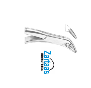 Pince d'extraction en acier inoxydable de haute qualité THOMAS canines inférieures, prémolaires et molaires fig 85A exportateurs et fabricant - Product Image 3