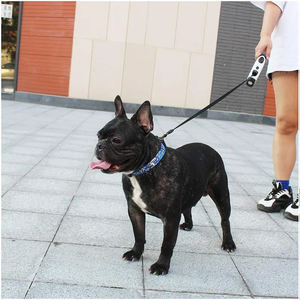 Collier de chien réglable en nylon et polyester de luxe de meilleure qualité avec motif d'impression de logo personnalisé fournitures pour animaux de compagnie rubans de caractéristique de rupture - Product Image 5