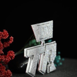 Colgante Redondo Brillante con Inicial de Moissanita, VVS, Estilo Hip Hop, Joyería de Plata 925 para Hombre y Mujer de Phoenix Enterprise - Product Image 5
