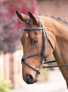 Bridon pour cheval Grackle, bridon en cuir, fabricant de bridons, bridon anatomique de dressage, cuir indien - Product Image 4