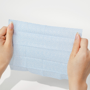 Ecowipes SW20S Toallitas para Zapatos de la Mejor Calidad de Vietnam, 20 Sobres por Caja, Tela No Tejida con Puntos de Goma - Product Image 6