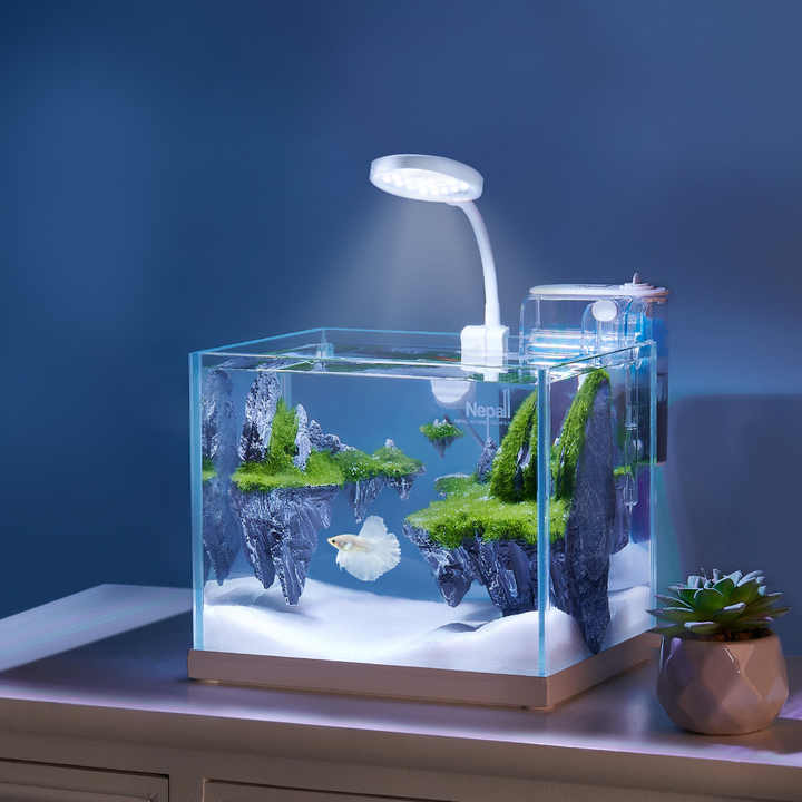 Yee Fish Tank Cleaning Glass Small Aquarium Starter Kit