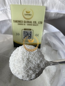 Coco desecado a granel de Vietnam nata de coco fruta seca de coco desecada dulce para cubrir pastel galletas de coco TAKIMEX - Product Image 5