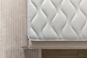 FROZEN Customized Cooling Foam <b>Mattress</b> Set-Hypo-Allergenic Modern Design for Hotel Hospital & Apartment Use Bedroom Set - Product Image 5