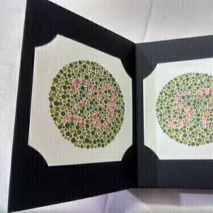 SS Ishihara หนังสือทดสอบการมองเห็นสี14แผ่นสำหรับการขาดสีเครื่องวัดสายตา - Product Image 1