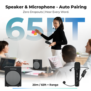 WinBridge S91 Système de sonorisation portable Haut-parleur 30W 2 microphones à main sans fil 5V USB-Chargement AUX Music Play Amplificateur vocal - Product Image 6