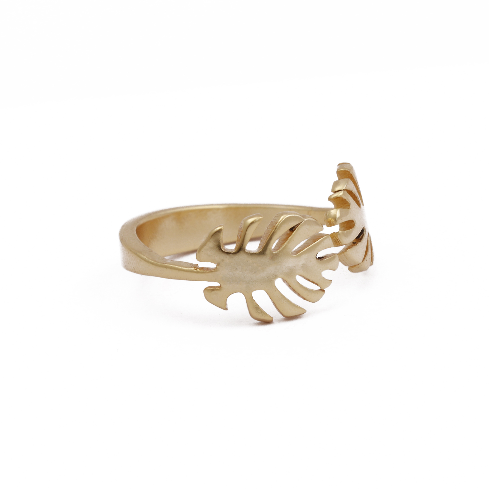 แหวนใบมอนสเตรา