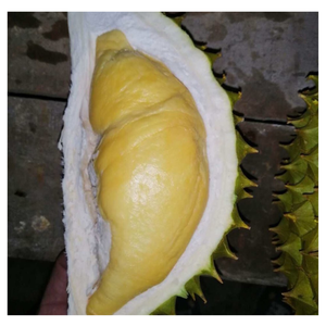 Durian fresco congelado precio competitivo y alta calidad hecho en Vietnam - Product Image 2