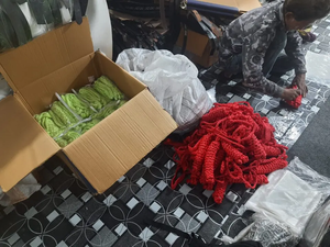 Vente chaude 2023 Bride occidentale en cuir de vache Bride occidentale pour l'équitation utilisée par les exportateurs indiens - Product Image 2