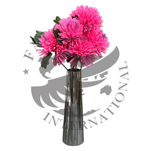 Odern-producto ORDICO, antiguo olor etal - Product Image 3