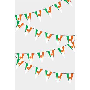 Guirlande de drapeaux triangulaires du Niger pour décorations de fête - Product Image 1