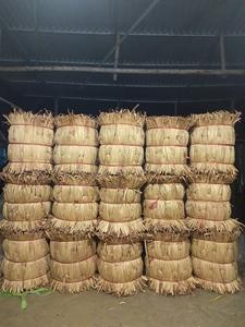 Vente en gros au Vietnam de jacinthe d'eau séchée de haute qualité/Exportation de grandes quantités de jacinthe d'eau séchée traditionnelle à bon prix - Product Image 4