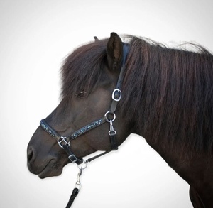 Licol de cheval en cuir véritable noir avec bandeau de nez rembourré et licou de cou accessoires en nylon de style occidental - Product Image 4