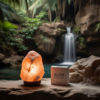 Lampe de sel de l'Himalaya sculptée sur mesure, best-seller, écologique, design croix florale Feng Shui, animaux, amour, lettres religieuses, pour la maison