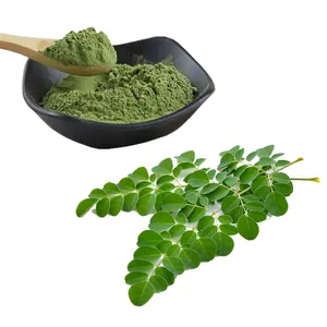 Fornecimento de fábrica Food Grade Moringa Leaf Extract Moringa Leaf Powder Bom para saúde e açúcar Origem do paciente Moringa Leaf Powder