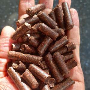 Granulé de noix de cajou de qualité supérieure GIA NGUYEN pour le bronzage - Product Image 1