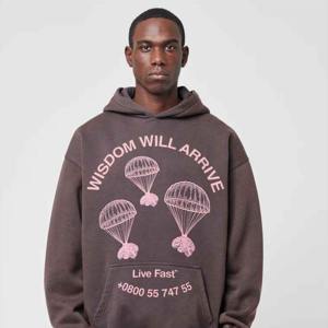 Sweats à capuche à la mode urbaine pour hommes avec logo personnalisé en coton épais style OEM ODM pour Streetwear - Product Image 2