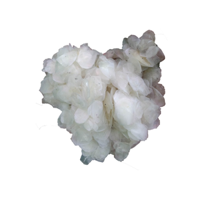 Échelle de poisson de haute qualité-produit nutritif, de haute qualité, 100% naturel de fournisseur vietnamien vente pas cher prix d'usine - Product Image 5