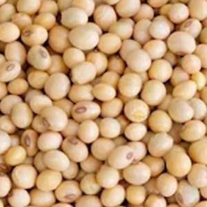 Venta al por mayor de fábrica directa de soja orgánica de alta calidad sin OGM de soja seca a granel grado AA grado alimenticio nuevo producto - Product Image 6