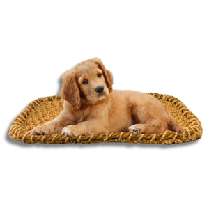Hot Selling PALM <b>MAT</b> / COIR <b>MAT</b> for PET Sustainable Pet Care: High-Quality Pet <b>Mats</b> for Dogs and <b>Cats</b> - Product Image 1