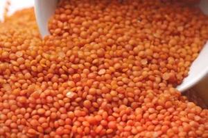 Wholesale High Quality Red <b>Lentils</b> RedLentils Price Red <b>Lentils</b> for Sale Split <b>Lentils</b> - Product Image 5