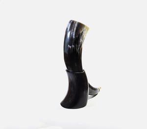Authentique corne à boire viking artisanale avec embout en laiton doré orné et support de présentation en corne poli assorti, traditionnel - Product Image 2