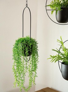 Maceta colgante de hierro con forma ovalada de diseño de lujo de la mejor calidad, Soporte de alambre de cadena, decoración de pared del hogar para plantar para jardín - Product Image 4