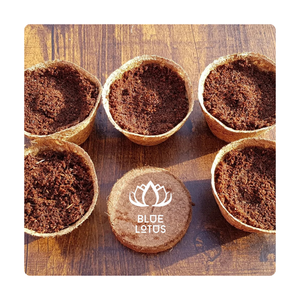 DISQUE COIR DIC COIR ECO FRIENDLY SOL FORME RONDE FIBRE DE COCO DIC PELLETS DE COIR POUR LA PLANTATION DU VIETNAM/ AMELIA + 84855014447 - Product Image 1