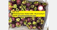 Mangosteen Verse Pack 5Kg/Carton Met Goedkope Prijs