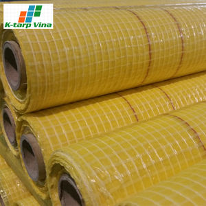 Oem Odm Lona Ligera Tecnología Moderna Corea Pe Lona Hoja 55 Gsm Hecho en Vietnam - Product Image 2