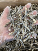 VENTE FLASH Poisson séché au lotus bleu 2025 Poisson séché propre pour restaurant et restauration