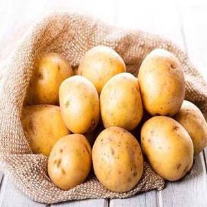 Pommes de terre fraîches biologiques en gros - Approvisionnement en vrac à prix avantageux pour la vente - Product Image 5