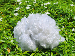 Việt Nam nóng bán 6dx32mm hcns (rỗng liên hợp không siliconized) tái chế <span class=keywords><strong>Polyester</strong></span> STAPLE sợi ISO, Oeko, GRS chứng nhận - Product Image 2