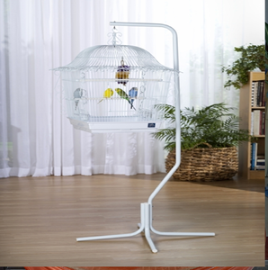 Elegante soporte de metal negro para jaula de pájaros, mostrado junto a una jaula decorativa montada y un periquito, a precio de mayoreo. - Product Image 4