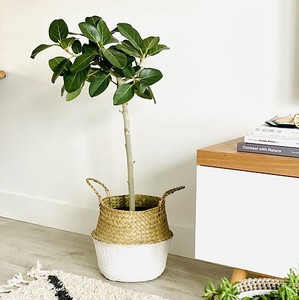 Cesta tejida a mano para el vientre de algas marinas, cestas de mano, artesanía barata, hecha en Vietnam, venta al por mayor, listo para la exportación - Product Image 5