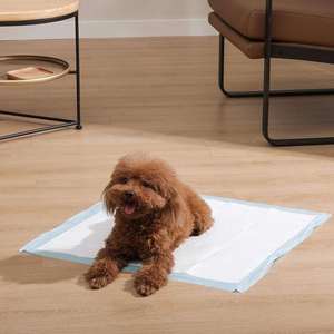 Super Absorbent <b>Waterproof</b> Mat Puppy Disposable Polymer Quick Dry No Leaking Pee Training <b>Pads</b> Dog - Product Image 3