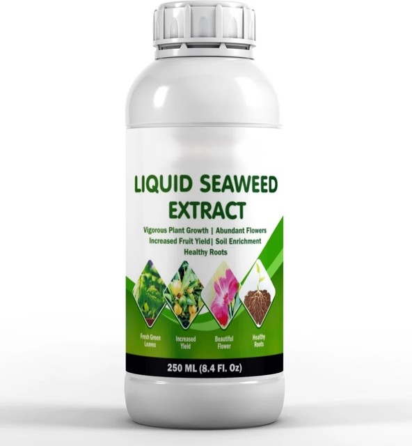 Supplying a Bulk Quantity of Seaweed Liquid Extract Used As Agricultural Fertilizer Available With Good Packing and Lowest Price