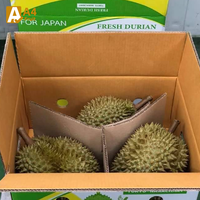 Handgeplukte verse durian uit Thailand, perfect rijp, romige exotische tropische smaak, de beste smaak, Khey Taladthai, 13,5 cm, kwaliteit A, 0,5 kg