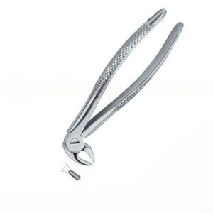 Pince d'extraction de dents dentaires avec logo personnalisé de qualité supérieure Fig.22 S Instruments dentaires en acier inoxydable - Product Image 5