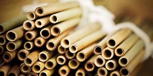 หลอดไม้ไผ่สำหรับผู้ซื้อขายส่งจำนวนมาก - Product Image 4