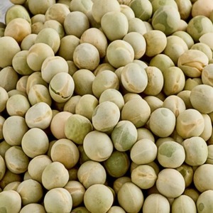Pois verts entiers séchés de qualité supérieure à prix réduit, vente en gros, pois verts surgelés à prix imbattable, offre spéciale - Product Image 1