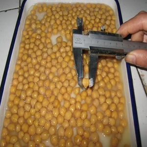 Chất Lượng Cao Ý Hữu Cơ Thực Phẩm Đóng Hộp 400G Nước Muối Cay-Bảo Quản <span class=keywords><strong>Chickpeas</strong></span> Và Đậu - Product Image 2