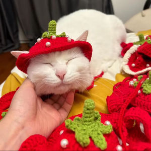 Gorro de Ganchillo Hecho a Mano con Forma de Fresa, Lindo y Divertido para Mascotas, Ropa para Gatos y Cachorros - Product Image 4