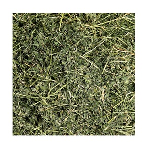 High Quality Alfalfa <b>Hay</b> Grass / Alfalfa <b>Hay</b> <b>Bales</b> Available <b>For</b> <b>Sale</b> At Low Price - Product Image 1