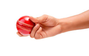 Pelota de Cricket Personalizada con Logotipo, Pelota Dura Roja de Alto Rendimiento con Tamaños Personalizados MA23-08 - Product Image 4