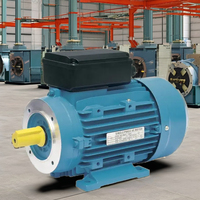 Moteur à induction monophasé à haut rendement 230V 50/60Hz entièrement fermé en aluminium IE1 0,5kW 1500/3000 tr/min Montage au pied