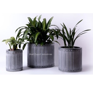 Maceta de hierro galvanizado redondo de estilo Vintage para el hogar, entrada, jardín, propósito decorativo, macetas de flores, artesanías - Product Image 6