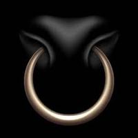 Cincin Hidung Sapi NVC Self-Piercing Brass Bull Nose Ring Break-off Screw 3" X 5/16" 3/8" Model 1-230-03 Alat Kedokteran Hewan untuk Sapi/Ternak