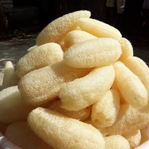 Luffa biologique doux et squishy pour la vente en gros luffa naturel pour le bain et la douche fabriqué au Vietnam - Product Image 6